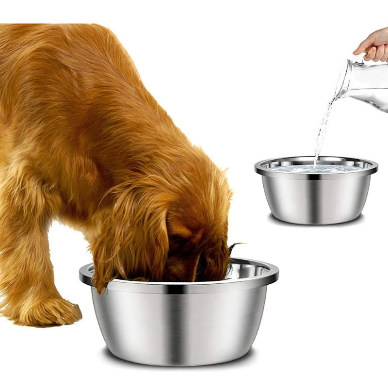 Pengumpan anjing Stainless Ste - Royal Canin Food Medium ulasan dan harga